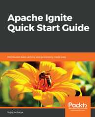 Apache Ignite Quick Start Guide