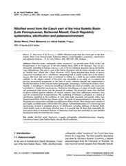 Image of first page of: 