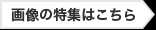画像の特集はこちら