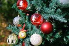 「今年はリビングを“物語みたいな空間”に」「飾るだけで気分が上がる」おしゃれなクリスマスツリー&イルミネーション