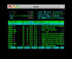 htop screenshot