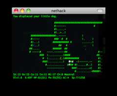 nethack screenshot