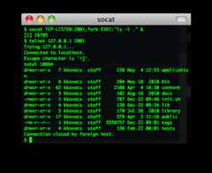 socat screenshot