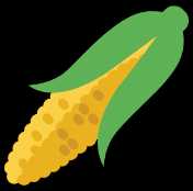 corn