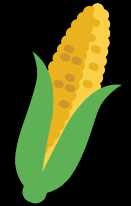corn