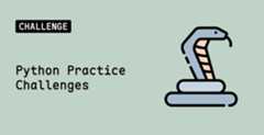 Python Practice Challenges