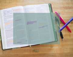 Adult Education