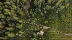 Bird's eye view photo of a small hut and a concrete path through a lush green forest. However, the image is slightly distorted by digital artefacts.