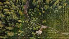 Bird's eye view photo of a small hut and a concrete path through a lush green forest. However, the image is slightly distorted by digital artefacts.
