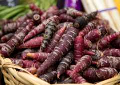 purple carrots in basket