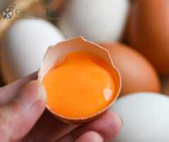 hand holding half egg shell showing egg yolk inside