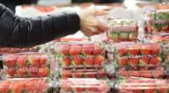 '한 상자에 3만원' 마트 가서 큰맘 먹고 샀다…8주 먹자 나타난 몸의 변화