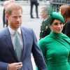 「Netflixと制作契約」のヘンリー王子とメーガン妃、「金もうけのときだけメディア利用」と批判の嵐