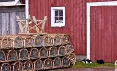 Lobster Traps