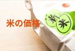 【2024年産】米の買取価格の動向と今後の予測｜農家が取るべき対応とは？