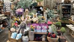 Gold Member Offer: 23% Off Merchandise at Sugarboo & Co. in Disney Springs, FL