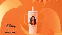 Gold Member Offer: 23% Off at Corkcicle In-Store and Online