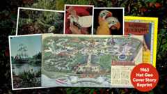 A collage of photos showcases the interior of the 1963 edition of National Geographic covering The Magical Worlds of Walt Disney. The photos include a couple of parrots from The Enchanted Tiki Room, an imagineer painting a mechanical bird, and the Mark Twain Riverboat sailing. Up front and center is a double page spread of a Walking Tour map of Disneyland. A small red circle with white text reads: 1963 Nat Geo Cover Story Reprint. Behind the map is the front cover of the issue.