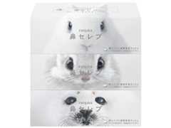 新着プレゼント画像