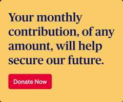 Evergreen_WebAd_Sidebar_DonateNow