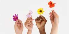 Four hands holding colorful flowers against a white background.
