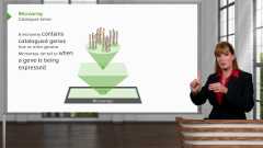 Molecular and Cell Biology