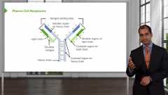 Blood & Lymphoreticular System