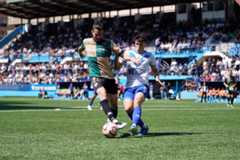 El fortí escapulat contra l'invicte arlequinat: quina ratxa prevaldrà?