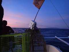 夕方に出船。カゴをロープに結わえて深海へ沈める。旗を立てた発泡スチロールを目印として浮かべておく。