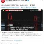 政府が夜の繁華街・歓楽街の「見回り隊」を結成！政府公認の自粛警察が結成される。戦前の戒厳令のような感じに。