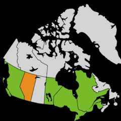 Distribution: Magnolianae Takhtajan