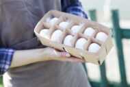 物価上昇が止まらない！鶏卵は昨年の1.3倍に…気になる鳥インフルエンザの…