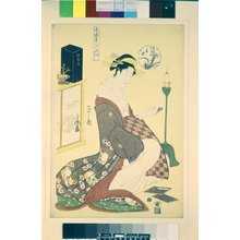 Japanese Print "Matsubaya Wakana 松葉や若那 (Wakana of Matsubaya) / Seiro bijin rokkasen 青楼美人六花仙 (The Six Poetic Beauties of the Green Houses)" by Hosoda Eishi, 細田栄之 (Hosoda Eishi (細田栄之))