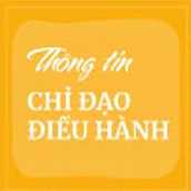 Thông tin chỉ đạo, điều hành