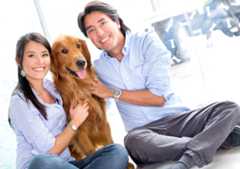 Pet Owners And Dating