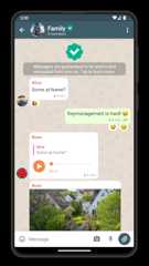 A screenshot of Delta Chat on Android showing a chat