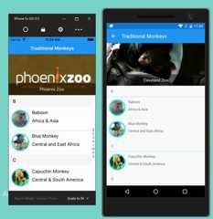 NuGet Version Selection