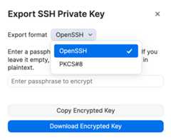 The export dialog for a private key with an empty passphrase field and copy and download buttons.