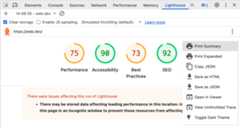 The Lighthouse three dots menu with options to print, copy, save, open in the trace view, or toggle dark mode.