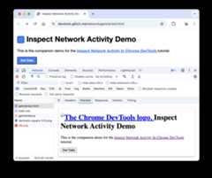 The Preview tab in the Network panel.