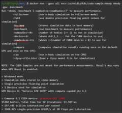 Results of docker run command