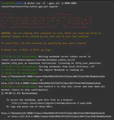 Results of running docker run -it --gpus all -p 8888:8888 tensorflow/tensorflow:latest-gpu-py3-jupyter