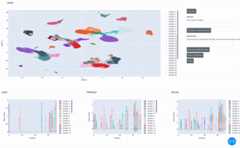 Animated GIF showing a UMAP visualization of cells. A group of cells is selected using the mouse pointer and re-clustered using RAPIDS.