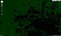 forest extent Paraguay