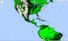 Americas treecover