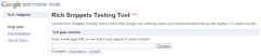 view of the rich snippets testing tool