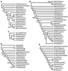 Phylogenetic trees depicting selected previous hypotheses for the higher-level relationships of early archosauromorphs in the period 1985–1996.