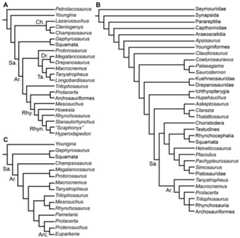 Phylogenetic trees depicting selected previous hypotheses for the higher-level relationships of early archosauromorphs in the period 1998–2009.