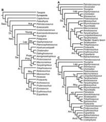 Phylogenetic trees depicting selected previous hypotheses for the higher-level relationships of early archosauromorphs in the period 2014–2015.
