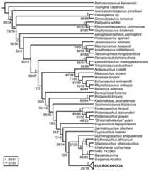 Branch support values shown on the strict reduced consensus tree recovered from analysis 3 after the a posteriori pruning of Kalisuchus rewanensis and Asperoris mnyama.